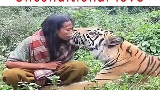 Animal love ...nice video