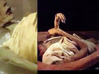 Allah-Ka-Azab-On-Firon- (is video ko zaror dekhna)