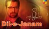 DIL-E-JANAM Drama by Hamza Ali Abbasi