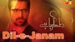 DIL-E-JANAM Drama by Hamza Ali Abbasi