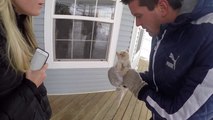 Une famille sauve un chaton congelé dans la neige