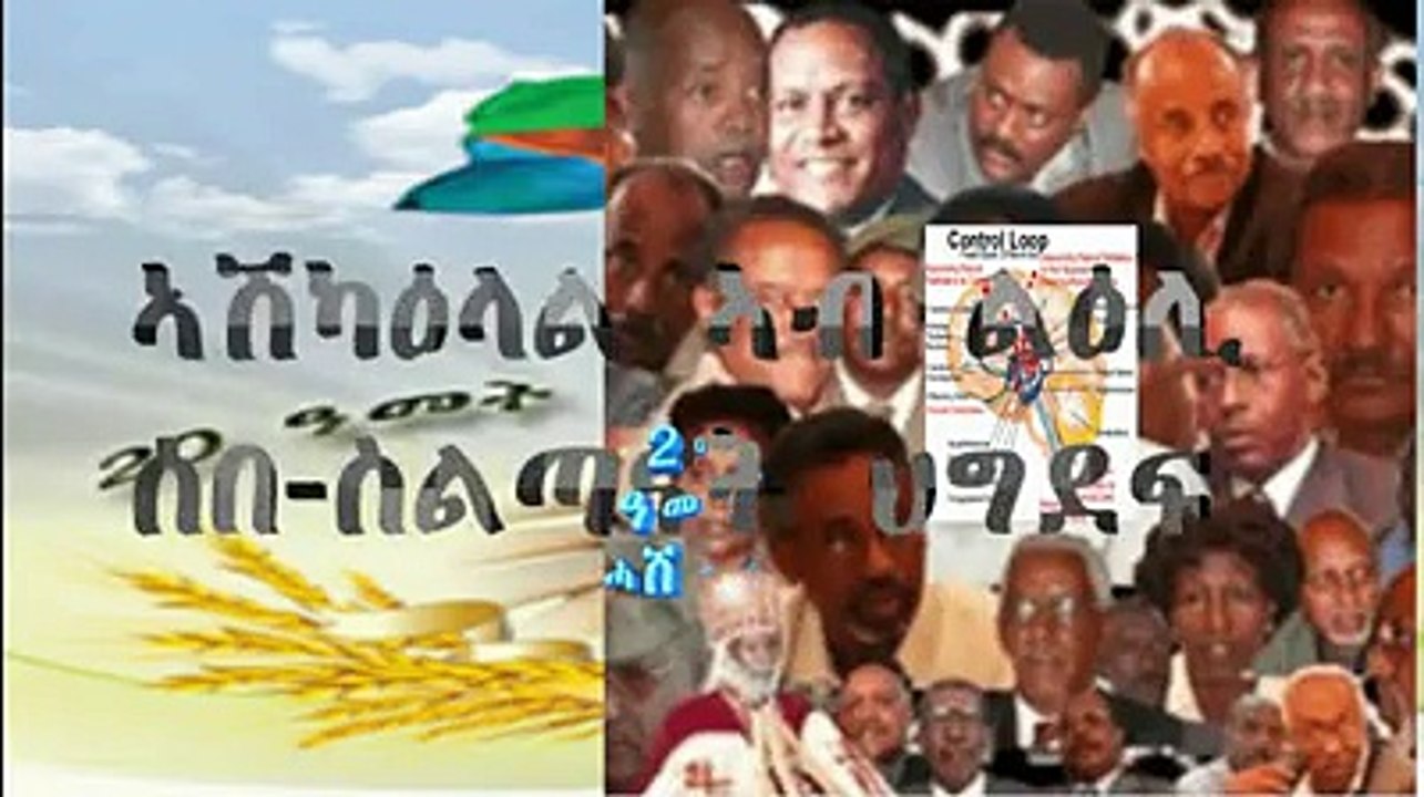 24 ዓመት ሓበን ዶ ከርተት ቃለ መሕተት ምስ PIA