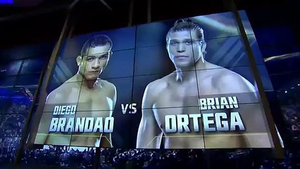 Diego Brandao vs. Brian Ortega - UFC 195 Highlights