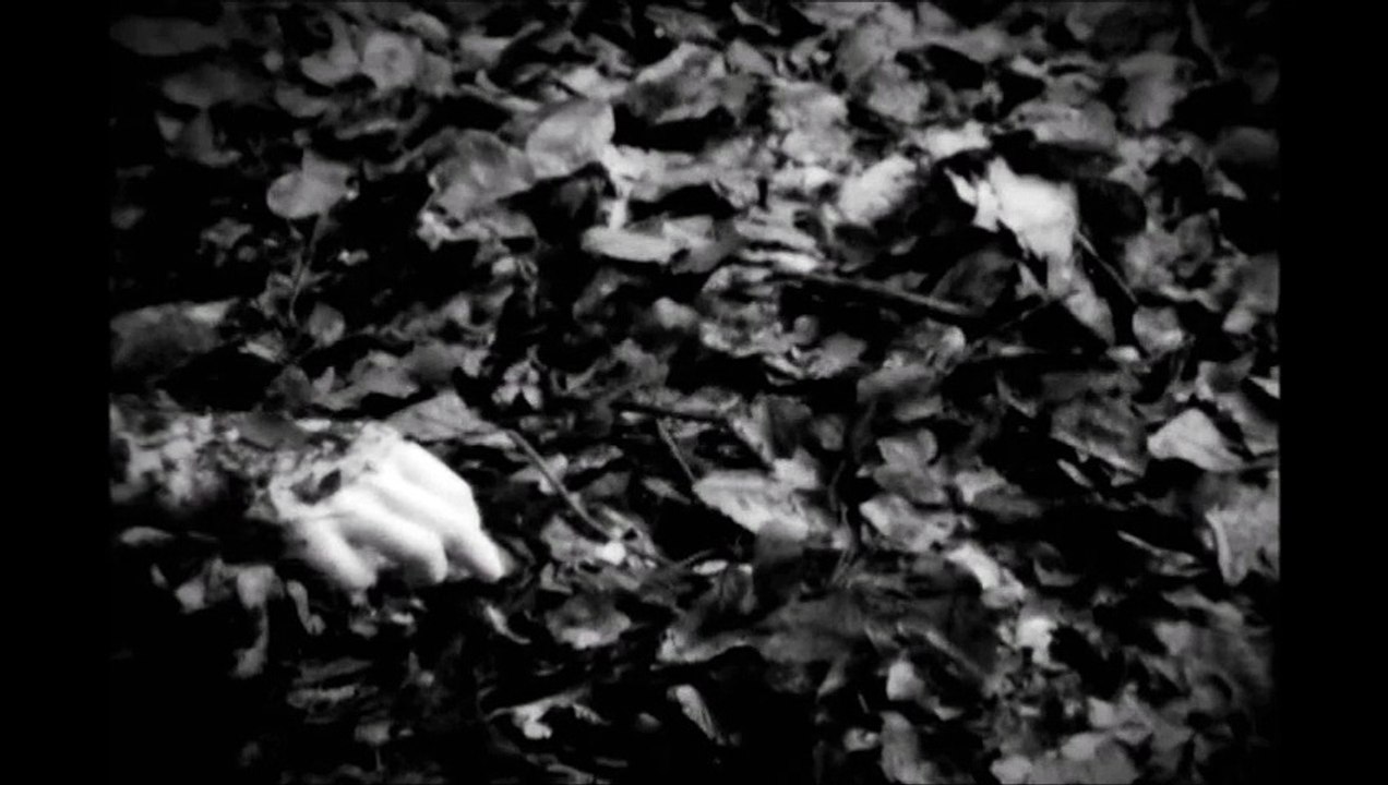 November Növelet - He's Dying Beside