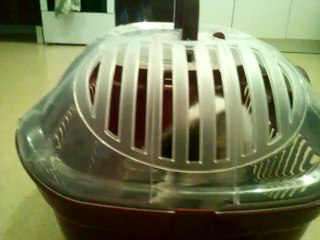 presantation de se que je donne a mon  chaton