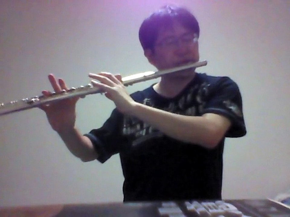 Arigatou (by Funky Monkey Babys) flute cover / ありがとう (ファンモン) フルートカバー