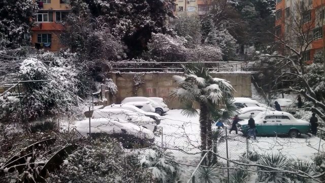 Засыпал было солнце и пальмы, проснулся - дети за окном в снежки играют!!!