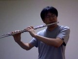 Hikarunara (by GooseHouse) flute cover / 光るなら(Goose House)フルートカバー