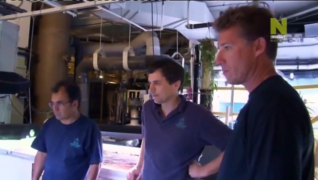 особая доставка 5 серия