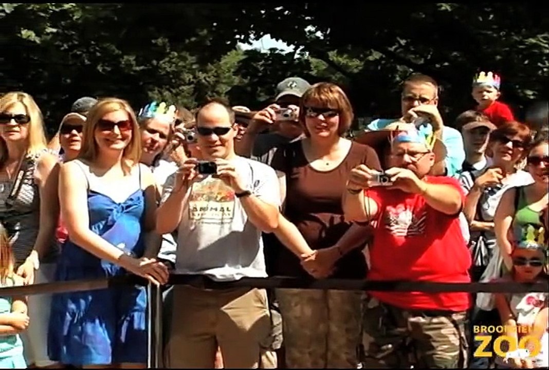 Cookie Cockatoo's 78th Birthday