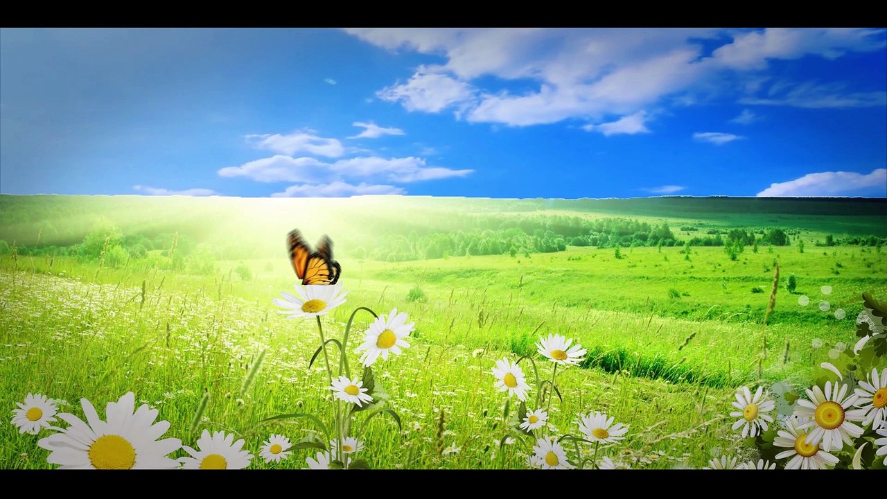 Corriendo | video animado