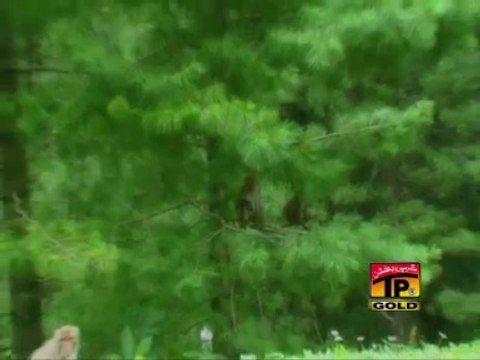 Bewafa Se Bhi Pyar Hota Hai, Afshan Zebi