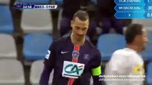 Zlatan Ibrahimović Super Chance - Wasquehal v. Paris Saint Germain 03.01.2016 HD