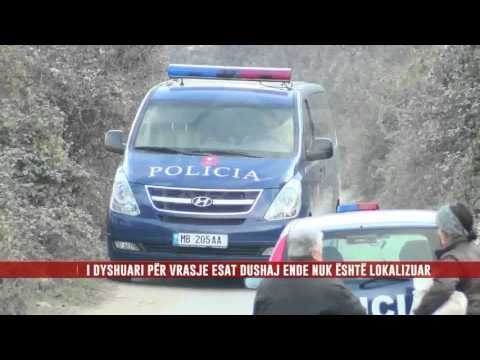 POLICIA NË KËRKIM TË AUTORIT TË VRASJES SË DY VËLLEZËRVE