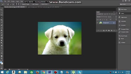 How to use refined edge tool in adobe photoshop
