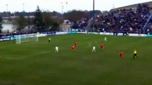 Claudio Beauvue Goal - Limoges 0 - 3 Olympique Lyon - 03.01.2016