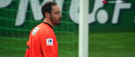 Zlatan Ibrahimović Goal ~ Wasquehal vs PSG 0-1