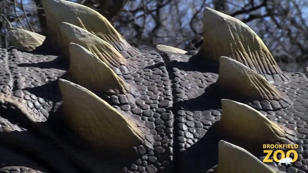 Dinosaurs Alive! is Back!