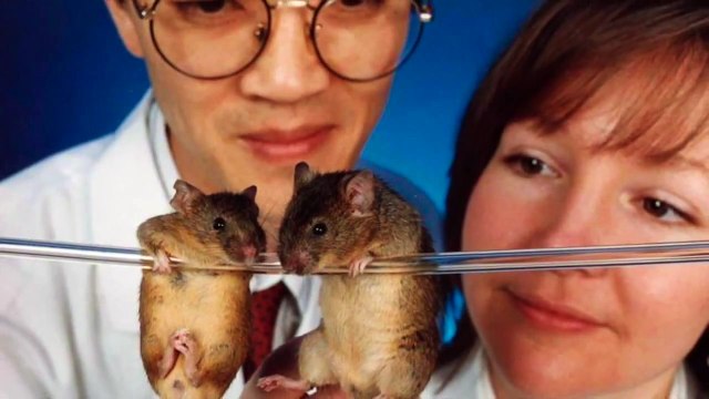 Животные, которых считали вымершими