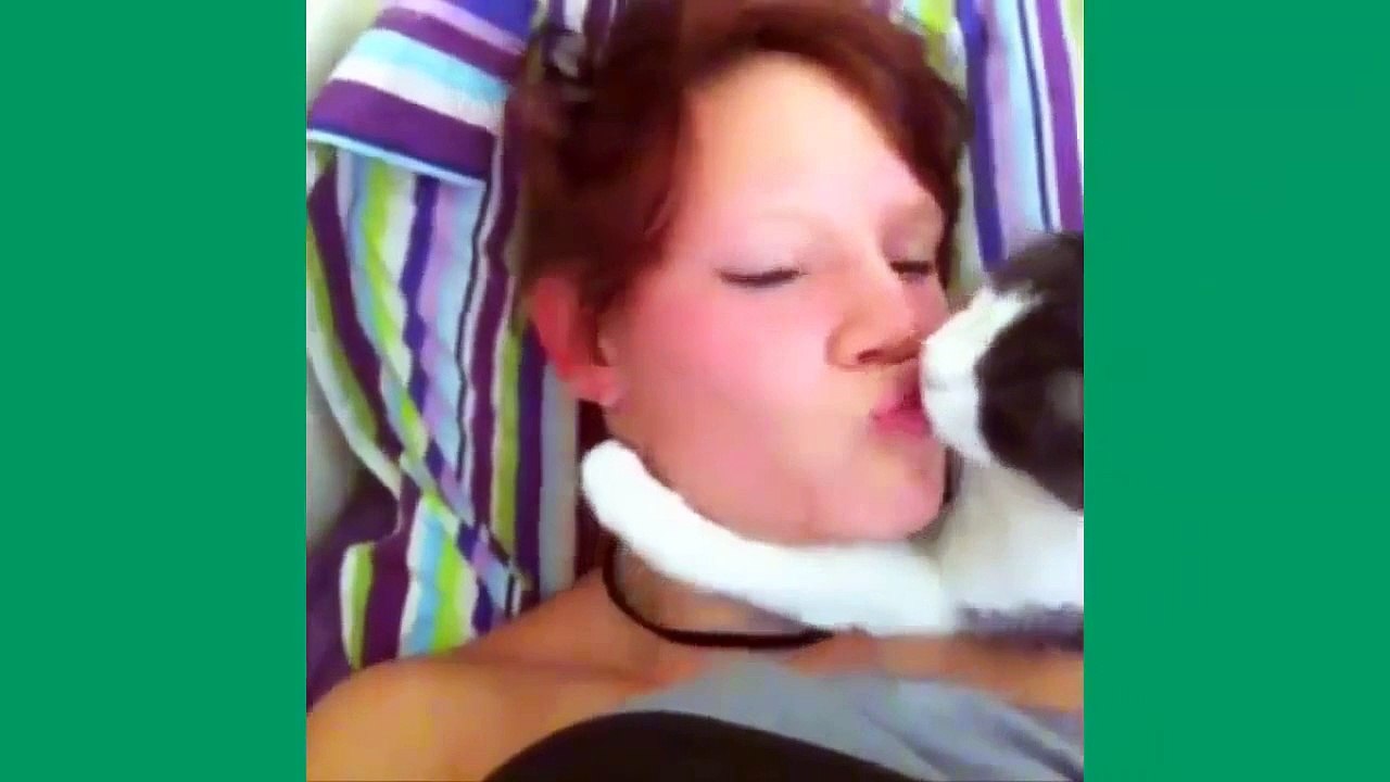 The Best Cat Vine Compilation Ever made !! Cute, Baby, Wet, Funny... CATS !!
