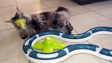 I M KIRA du chemin de la mer - jeux