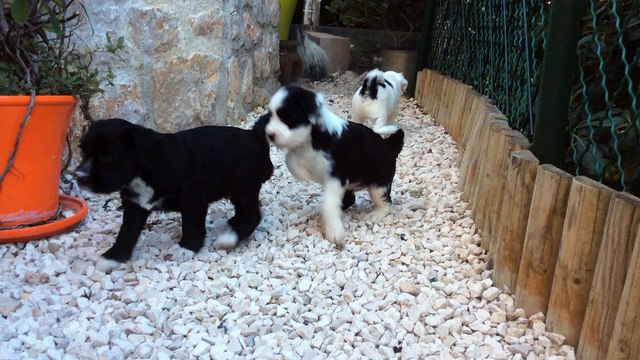 Premiere sortie dans le jardin