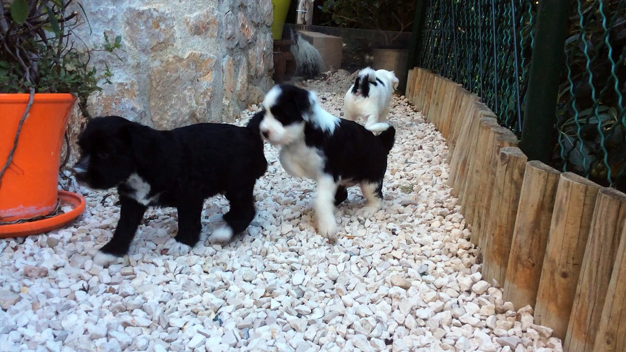 Premiere sortie dans le jardin
