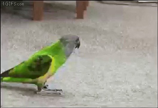 Убит, наповал