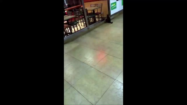 Tom and Jerry Planning On How To Steal Food From Subway