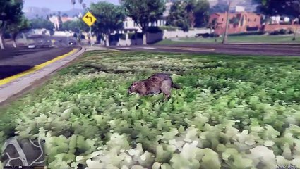 Thug Rat Grand Theft Auto 5