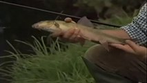 Go Fishing with John Wilson - Fishing Summer Small River Barbel