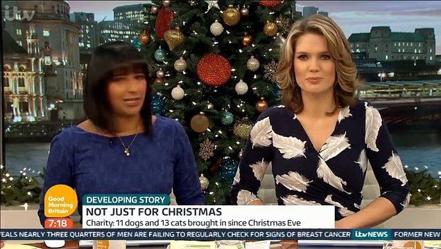 ITV Good Morning Britain 30Dec15 - The pets that were just for Christmas #petsareforlife