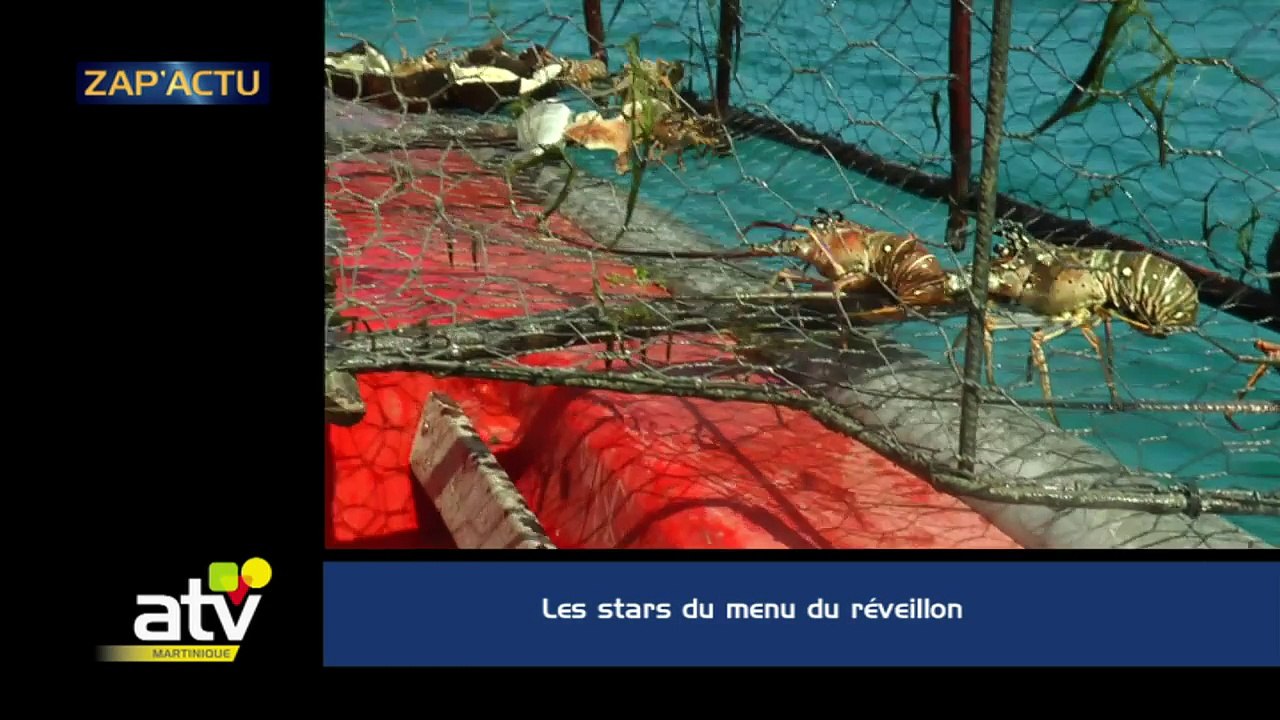 Zap Actu  1 JANVIER 2016