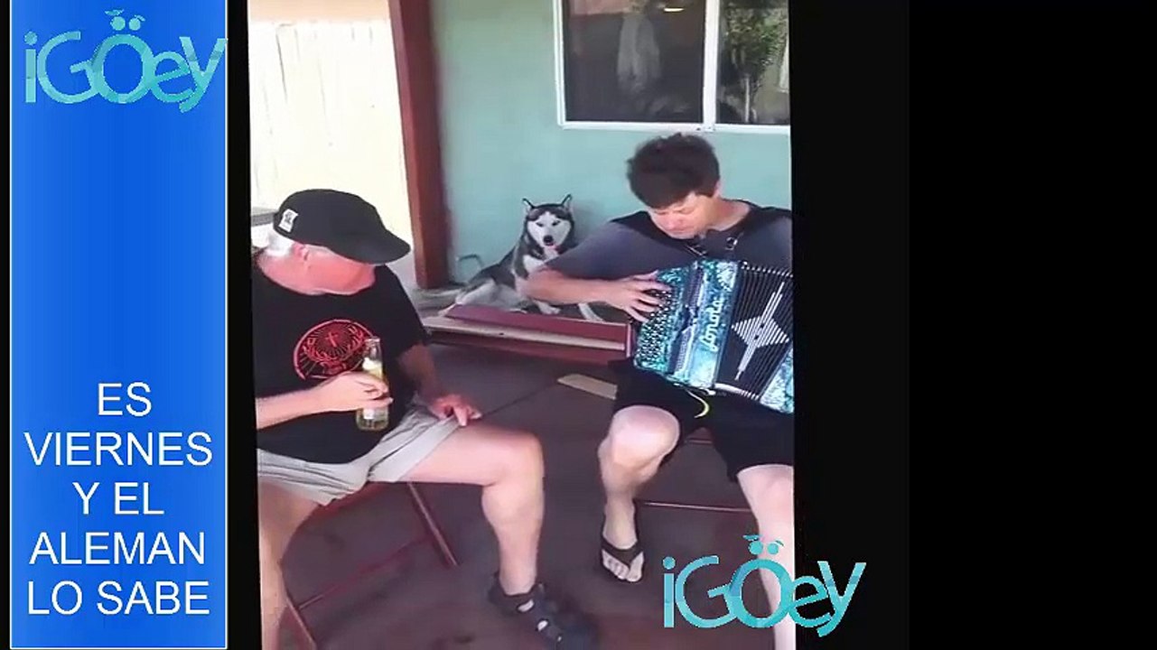 Aleman Tragos de amargo