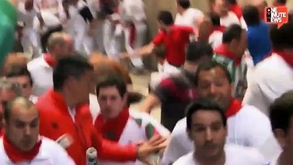 Traffic Cop Gets Rammed By Runaway Bull In Romania