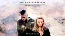 Zara Larsson, MNEK - Never Forget You (Karaoke)