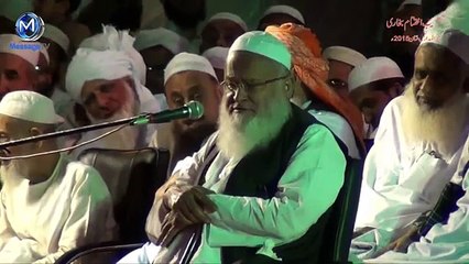 Syed Abdul Majeed Nadeem about his Life