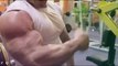 Bodybuilding Motivation - BICEPS & TRICEPS WORKOUT -FITNESS FREAK