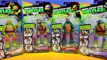 Teenage Mutant Ninja Turtles Mutations Michelangelo Donatello Raphael Leonardo TMNT Transf