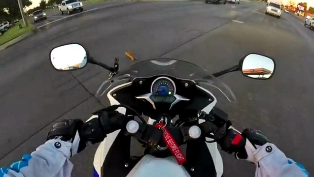 Biker Chick Saves A Kitten In The Intersection