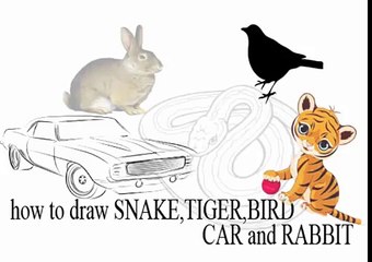 How to Draw a Bird step by step for kids
