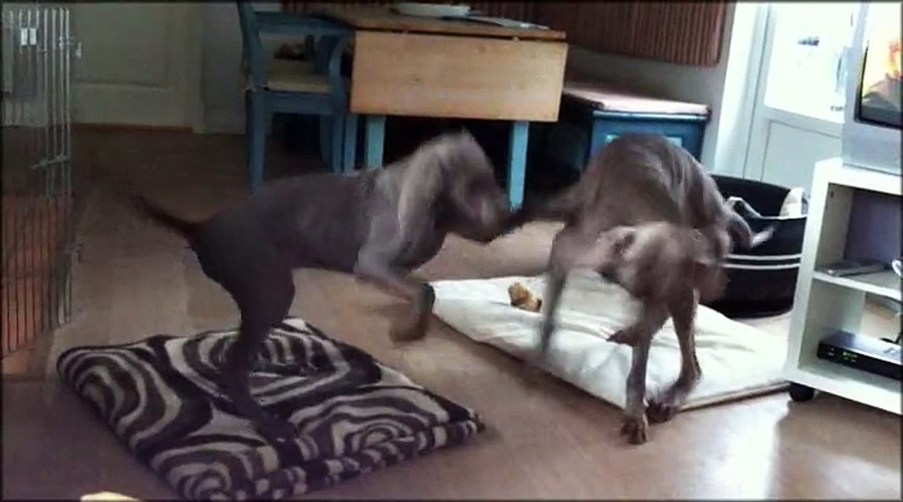 Otto und Mary 28.3.15