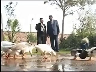 Have You Ever Seen MAHAL (PALACE) Of Hassan Nisar?