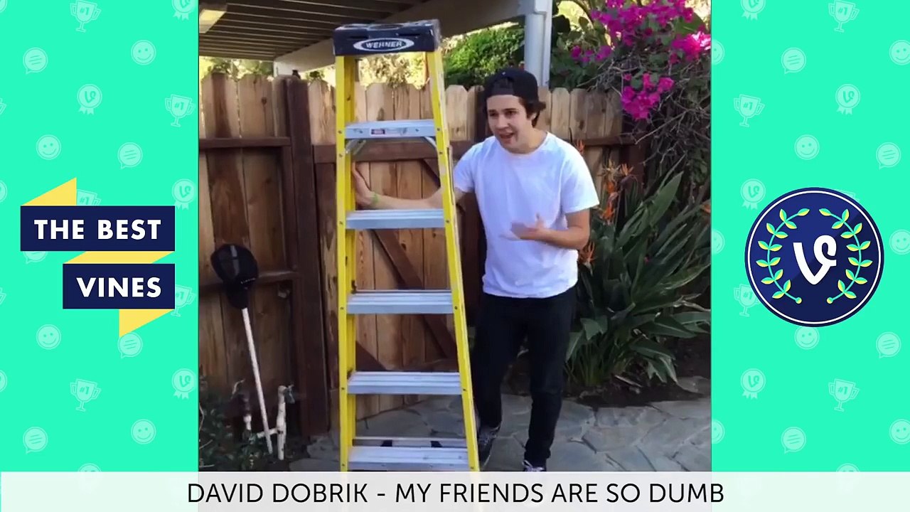 Best Vines of December 2015 Vine Compilation | Part 2
