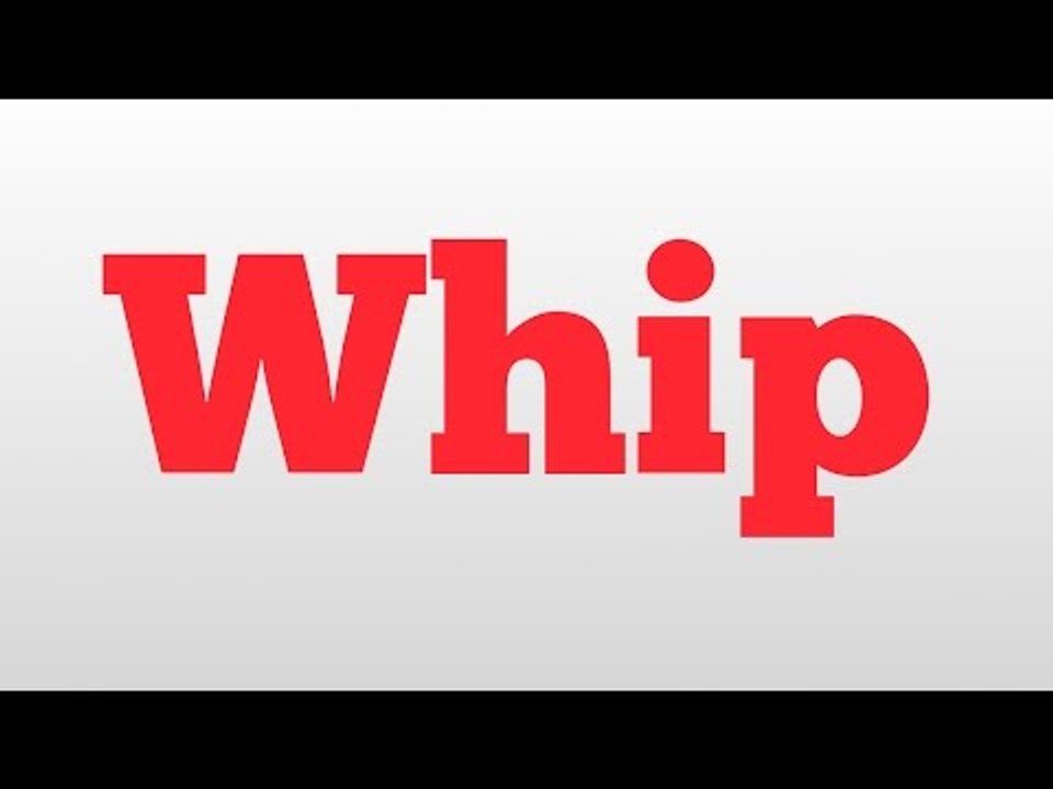 Whip meaning and pronunciation video Dailymotion