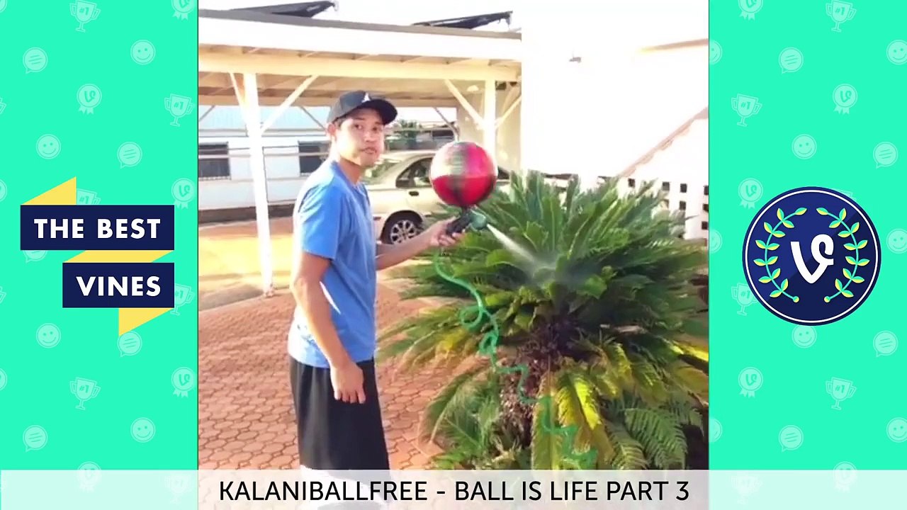 Best Vines Basketball Compilation | Top Viners November 2015