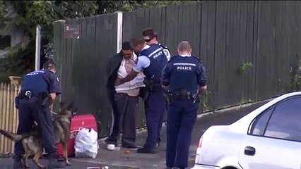 Police take down man armed with a toygun in Auckland