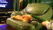 Funniest Animal Fails Compilation