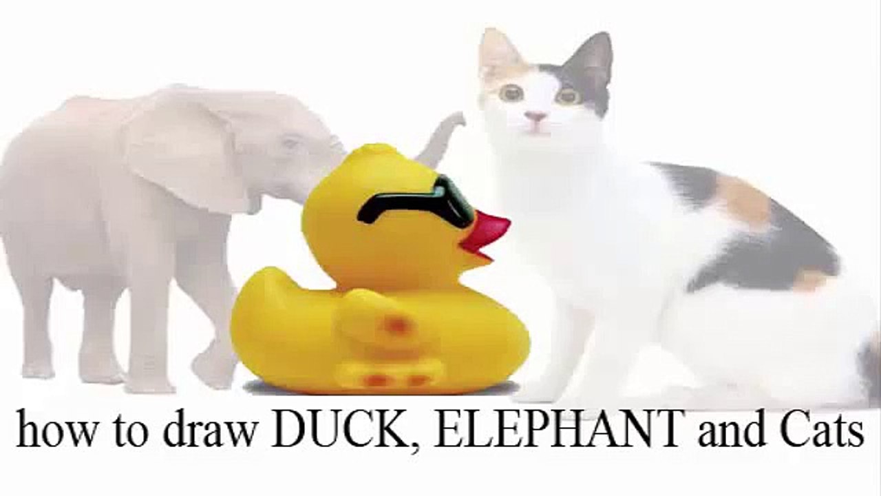How to Draw a Cat step by step for kids