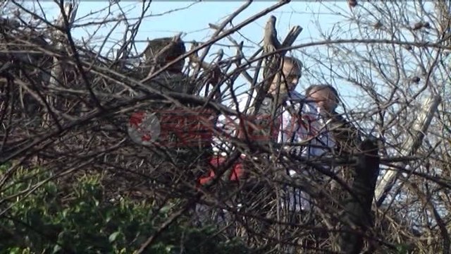 Autori i vrasjes së dy vëllezërve në Shkodër është parë në zonën e Mazrekut - Ora News